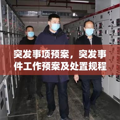 突发事项预案，突发事件工作预案及处置规程 