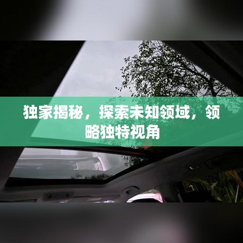 独家揭秘，探索未知领域，领略独特视角