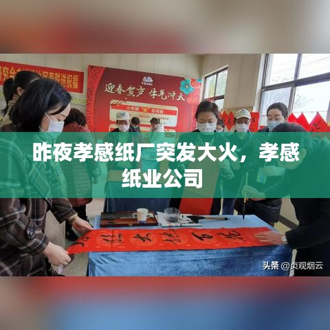 精品斯诺克台球桌 第74页