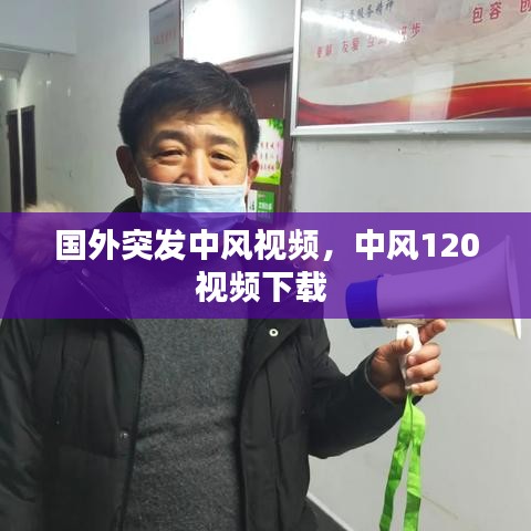 鸟入樊笼 第2页