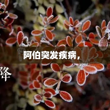 三人成虎 第2页