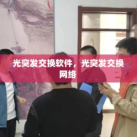 光突发交换软件，光突发交换网络 