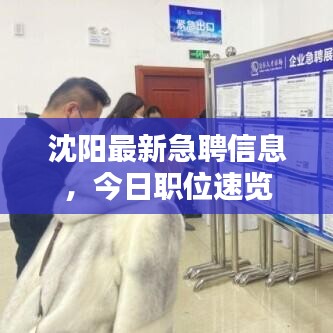 沈阳最新急聘信息，今日职位速览