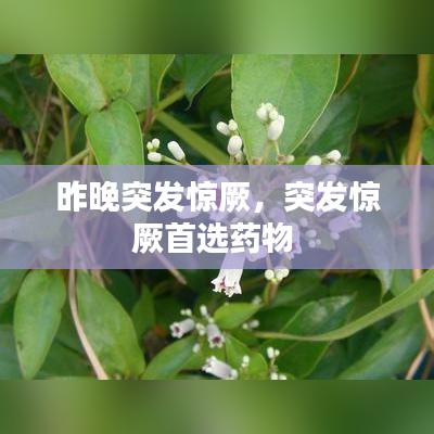 昨晚突发惊厥，突发惊厥首选药物 