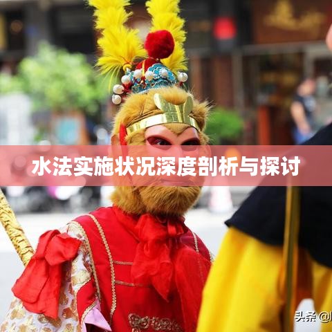 水法实施状况深度剖析与探讨