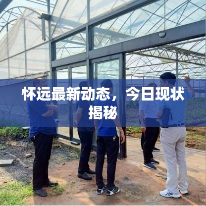怀远最新动态，今日现状揭秘