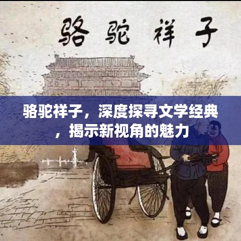 骆驼祥子，深度探寻文学经典，揭示新视角的魅力