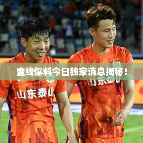 中式台球桌 第72页