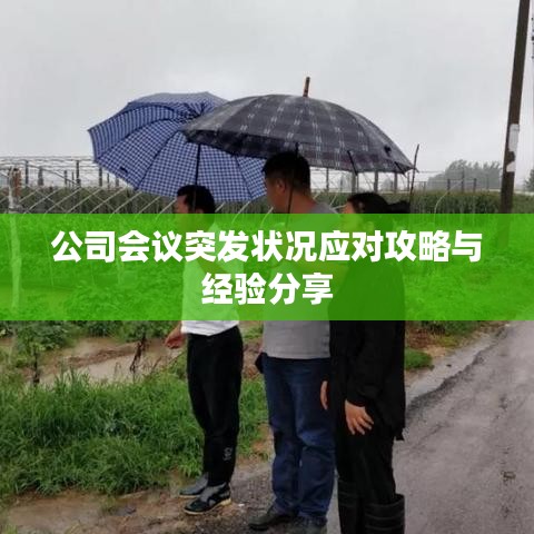 公司会议突发状况应对攻略与经验分享
