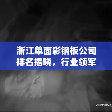浙江单面彩钢板公司排名揭晓，行业领军者榜单