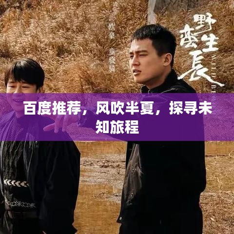 百度推荐，风吹半夏，探寻未知旅程