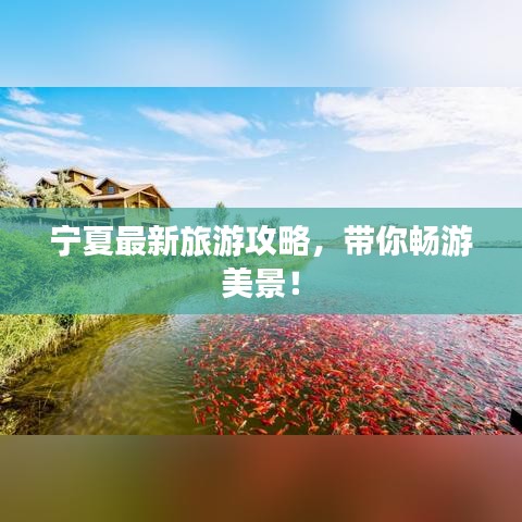 宁夏最新旅游攻略，带你畅游美景！