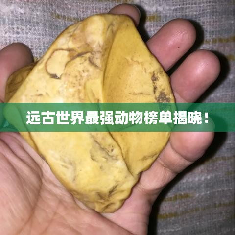 远古世界最强动物榜单揭晓！
