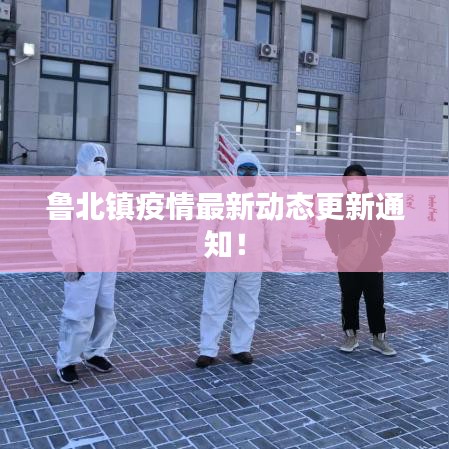 鲁北镇疫情最新动态更新通知！