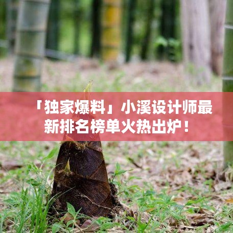 「独家爆料」小溪设计师最新排名榜单火热出炉！