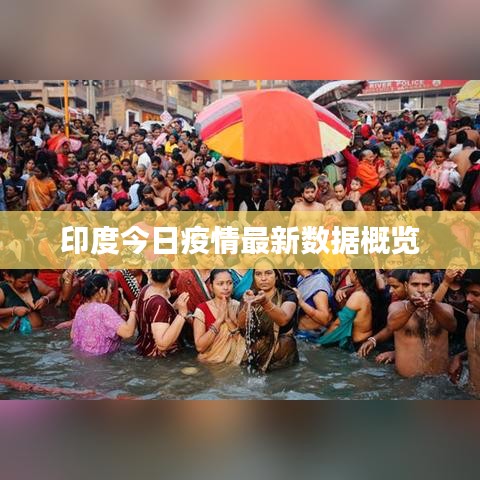 印度今日疫情最新数据概览