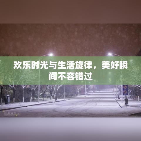 欢乐时光与生活旋律，美好瞬间不容错过