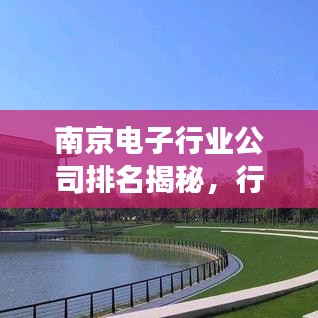 南京电子行业公司排名揭秘，行业深度分析与前景展望！