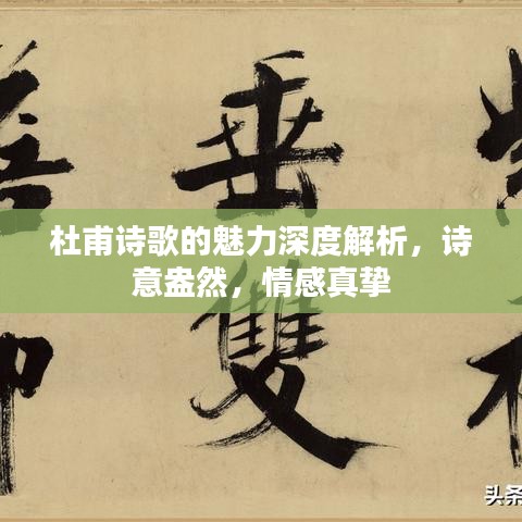 笼鸟槛猿 第2页