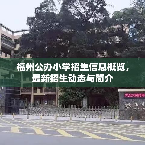 福州公办小学招生信息概览，最新招生动态与简介