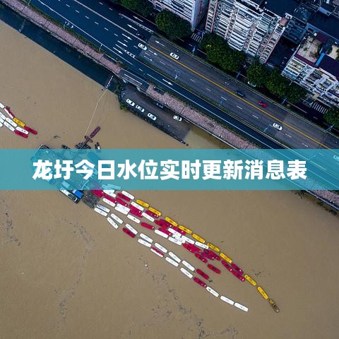 龙圩今日水位实时更新消息表
