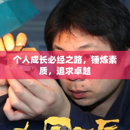 个人成长必经之路，锤炼素质，追求卓越