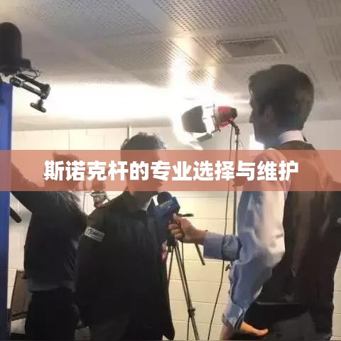 斯诺克杆，专业挑选与保养之道