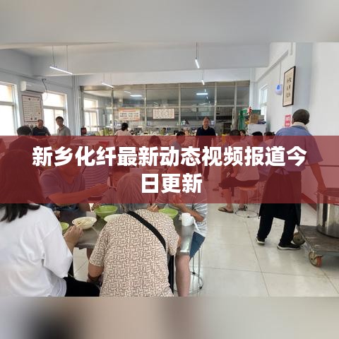 新乡化纤最新动态视频报道今日更新