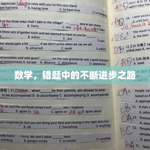 数学，错题中的不断进步之路