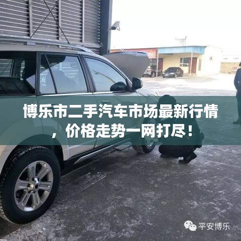 博乐市二手汽车市场最新行情，价格走势一网打尽！