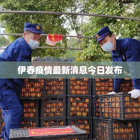 伊春疫情最新消息今日发布