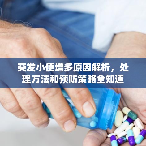 突发小便增多原因解析，处理方法和预防策略全知道