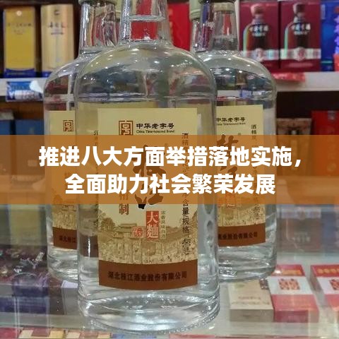 推进八大方面举措落地实施，全面助力社会繁荣发展