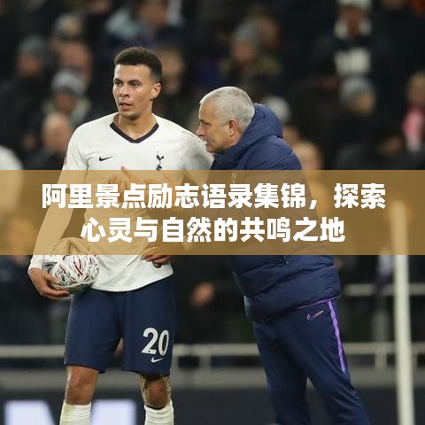 阿里景点励志语录集锦，探索心灵与自然的共鸣之地