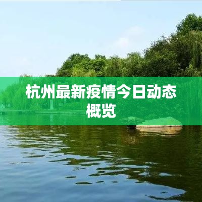 杭州最新疫情今日动态概览