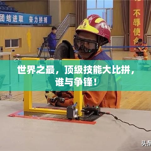世界之最，顶级技能大比拼，谁与争锋！