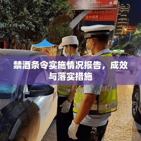 禁酒条令实施情况报告，成效与落实措施