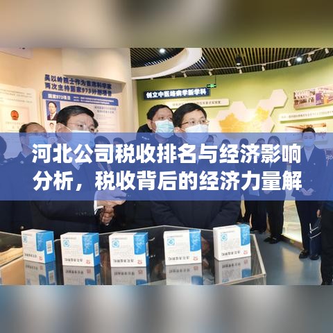 河北公司税收排名与经济影响分析，税收背后的经济力量解读