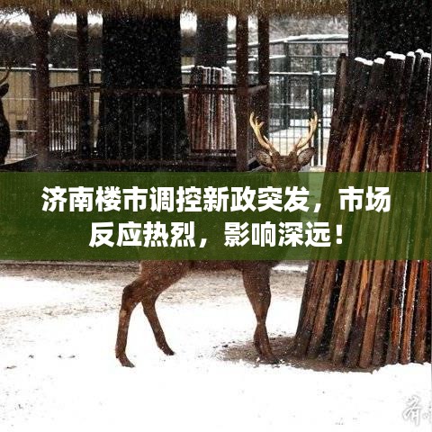 济南楼市调控新政突发，市场反应热烈，影响深远！