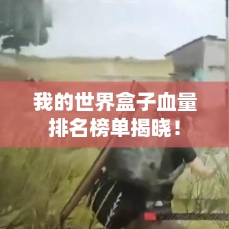 我的世界盒子血量排名榜单揭晓！