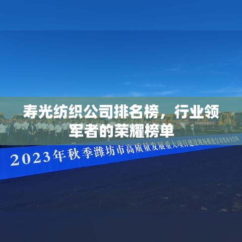 寿光纺织公司排名榜，行业领军者的荣耀榜单