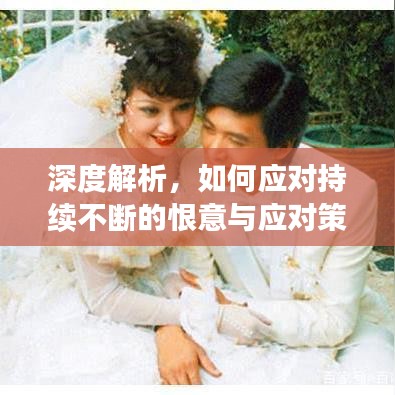 深度解析，如何应对持续不断的恨意与应对策略