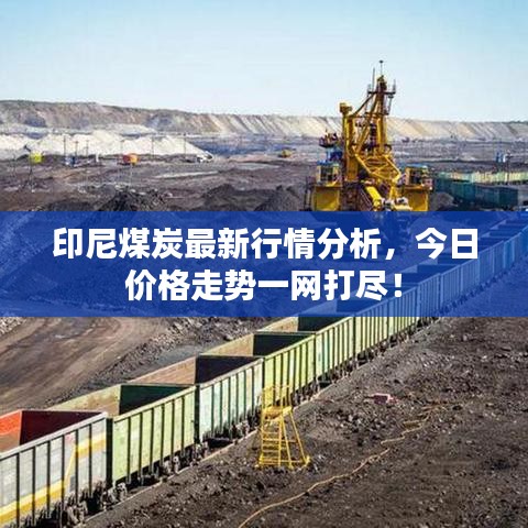 印尼煤炭最新行情分析，今日价格走势一网打尽！