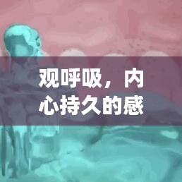 达官贵人 第2页