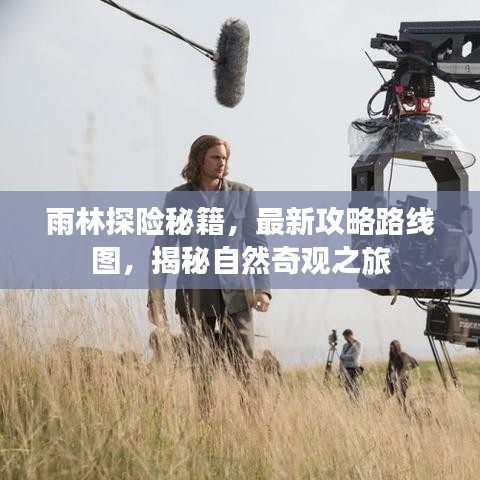 雨林探险秘籍，最新攻略路线图，揭秘自然奇观之旅