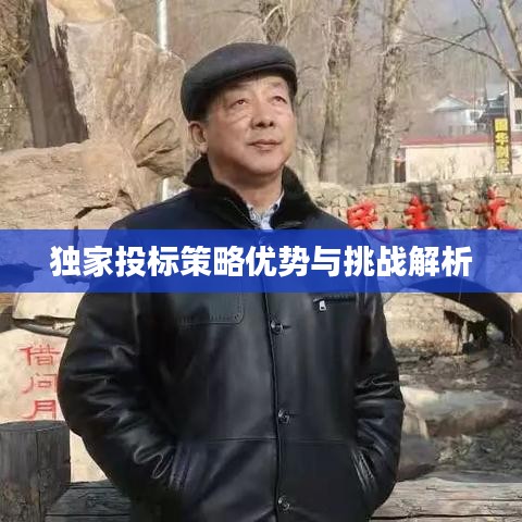 独家投标策略优势与挑战解析