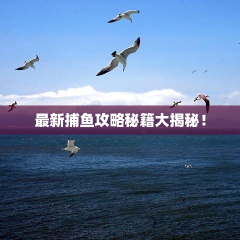 最新捕鱼攻略秘籍大揭秘！