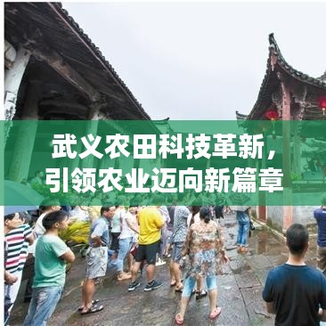 武义农田科技革新，引领农业迈向新篇章
