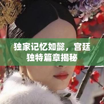 独家记忆如懿，宫廷独特篇章揭秘