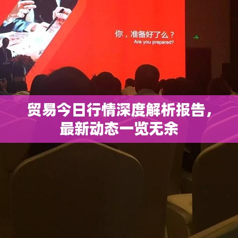 贸易今日行情深度解析报告，最新动态一览无余